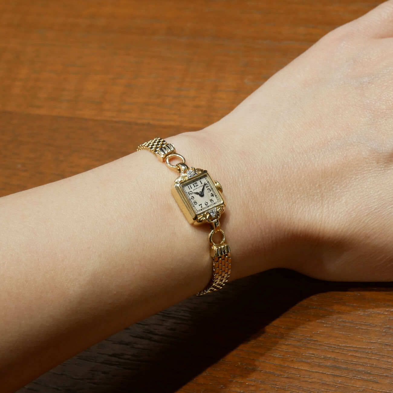 HAMILTON RECTAGLE MODEL