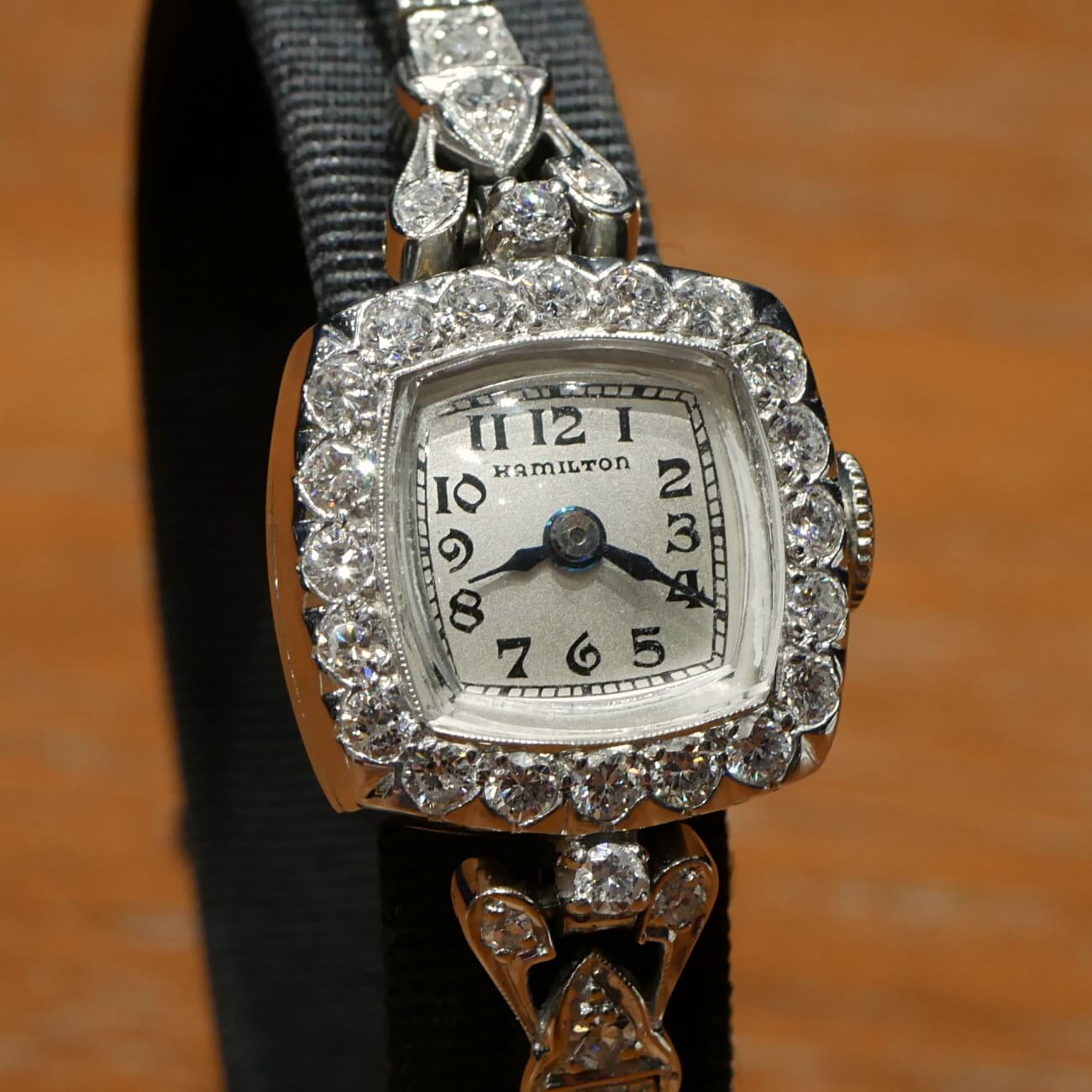 HAMILTON RECTANGLE MODEL